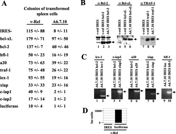 FIG. 6.