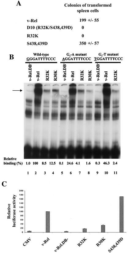 FIG. 1.