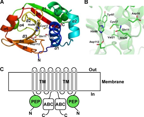 FIGURE 1.