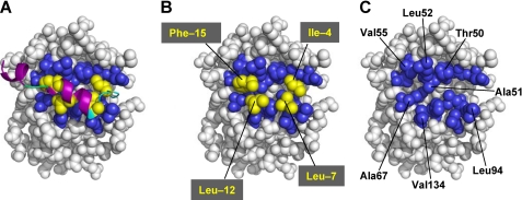 FIGURE 5.