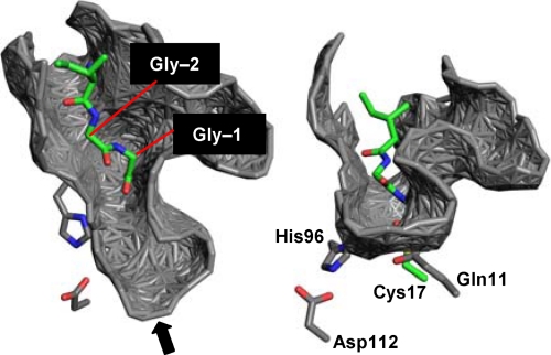 FIGURE 4.