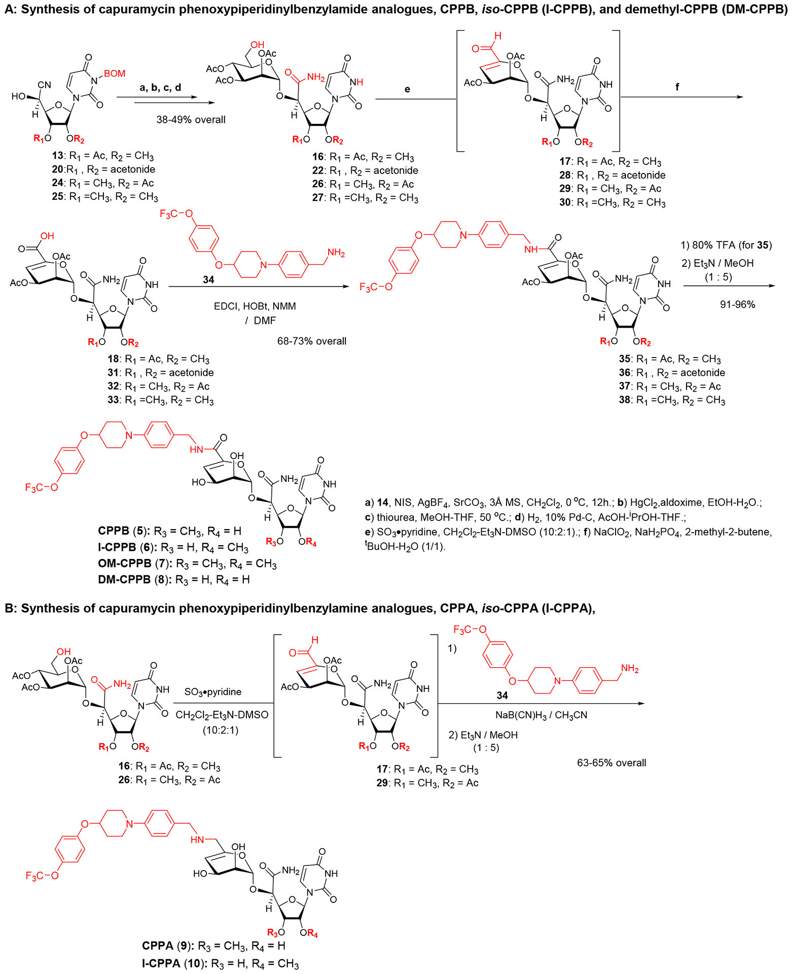 Scheme 3.