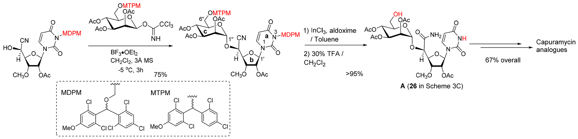 Scheme 1.