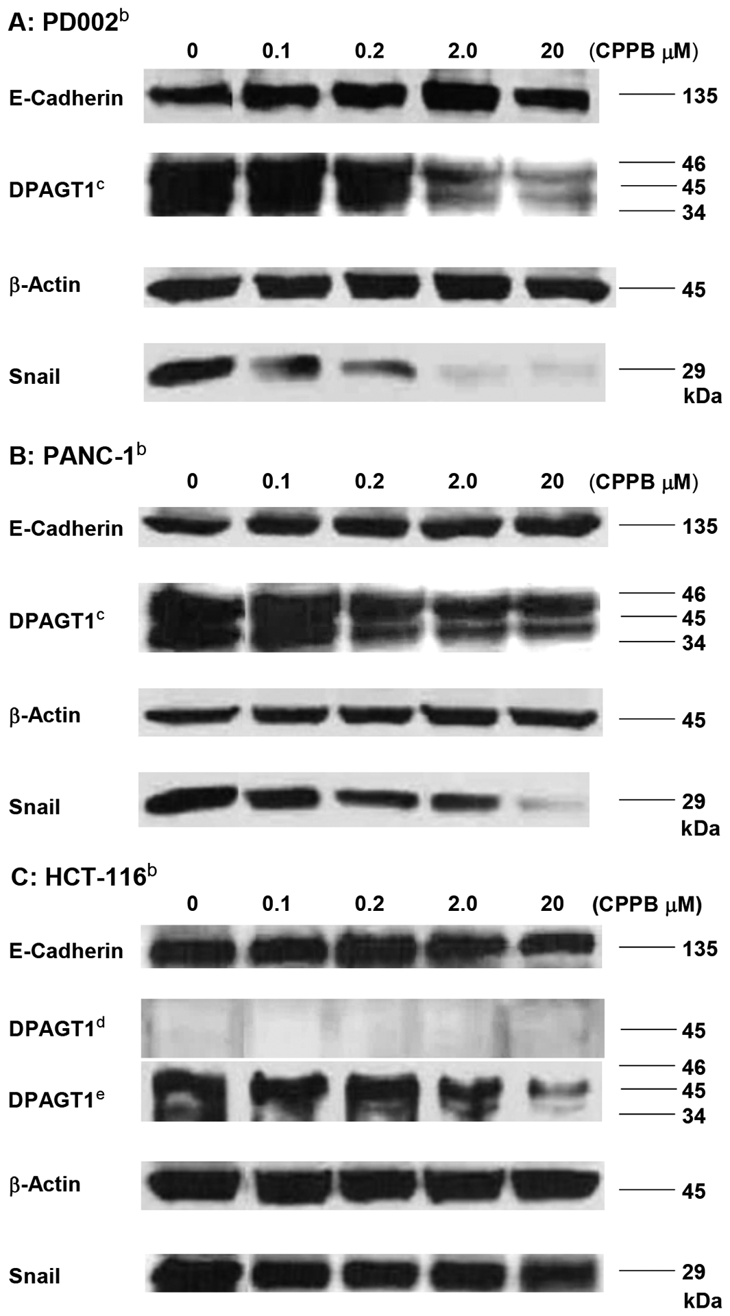 Figure 9.