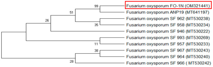 Figure 2