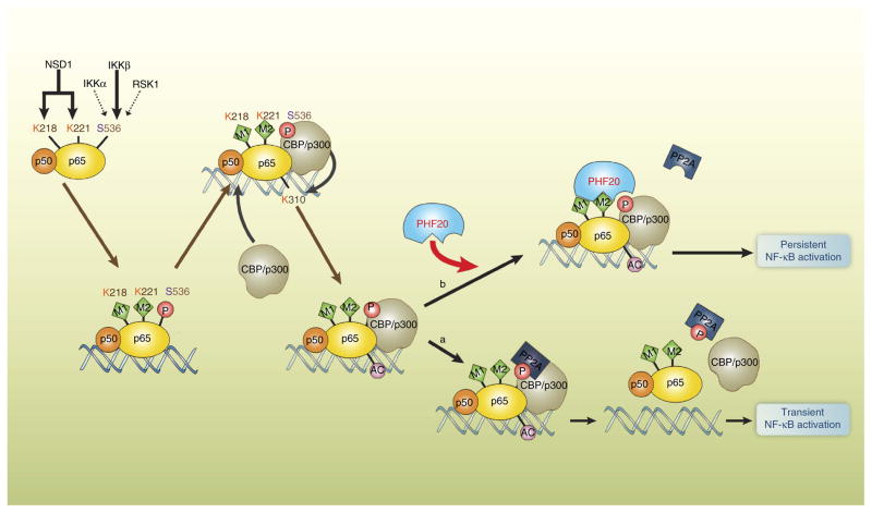 Figure 7