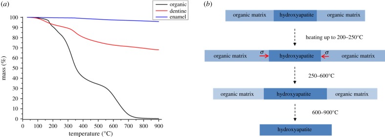 Figure 6.