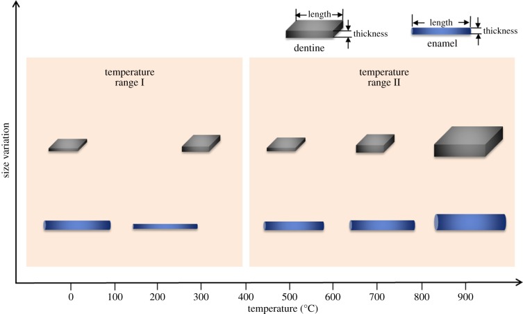 Figure 7.