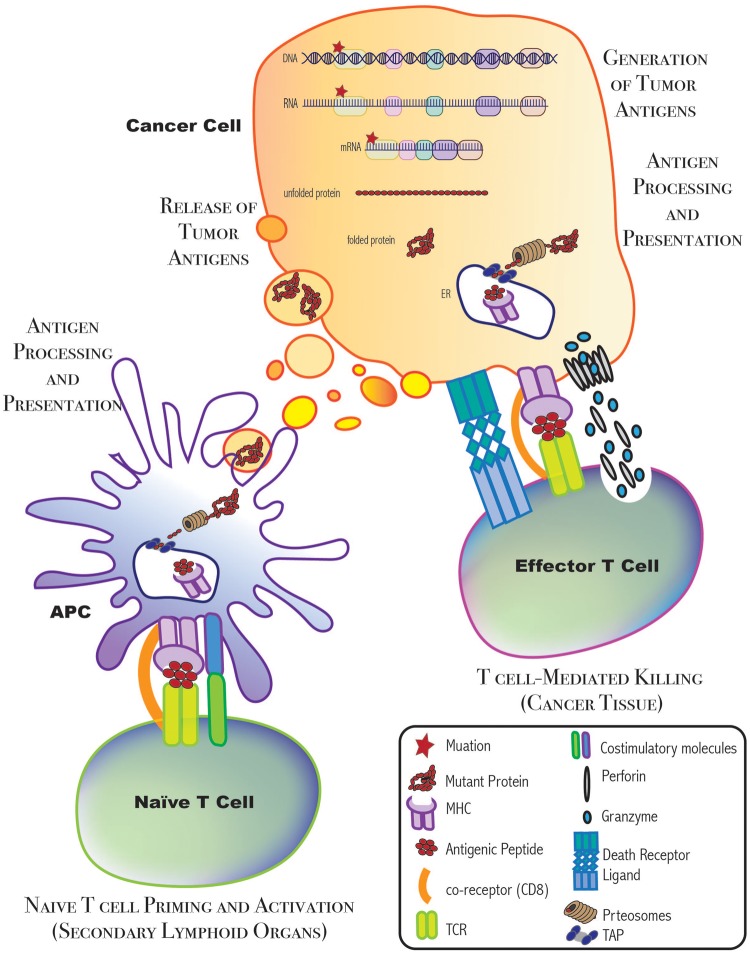 Figure 1: