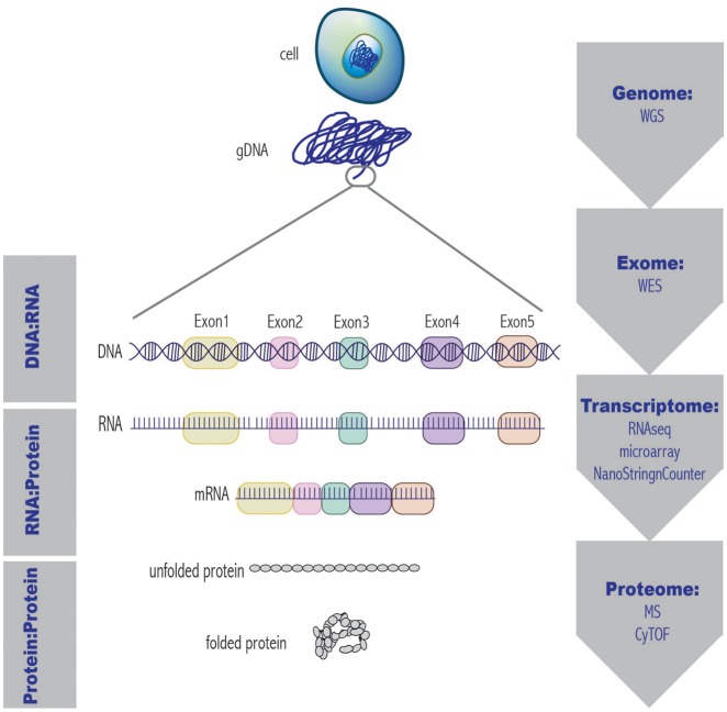 Figure 3: