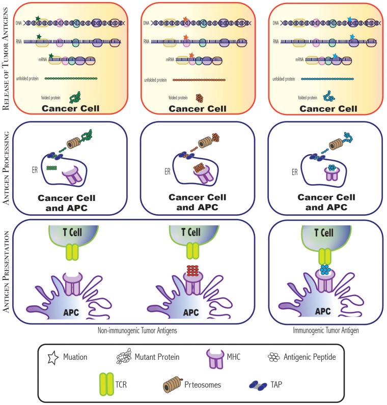 Figure 4: