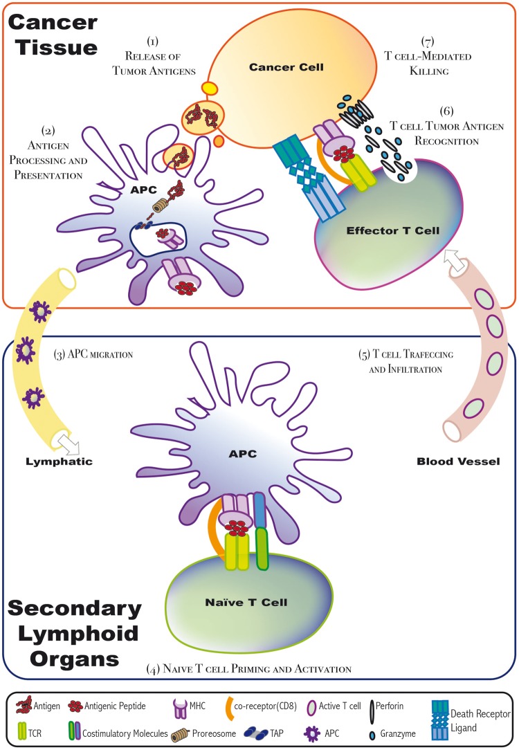 Figure 2: