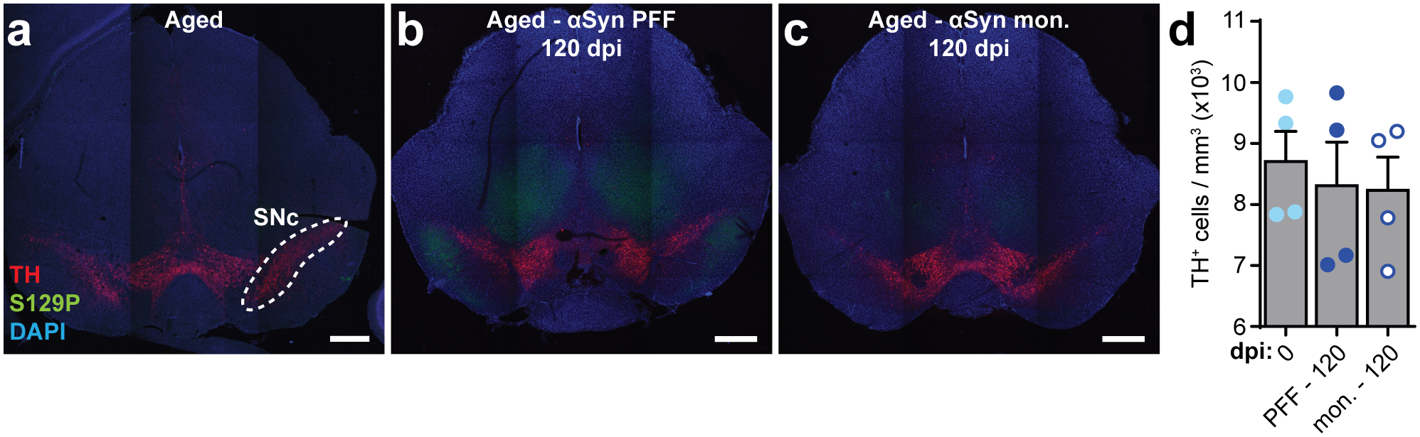 Extended Data Fig. 9