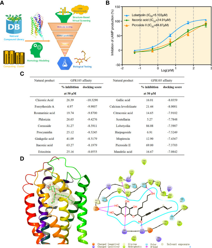 Figure 6