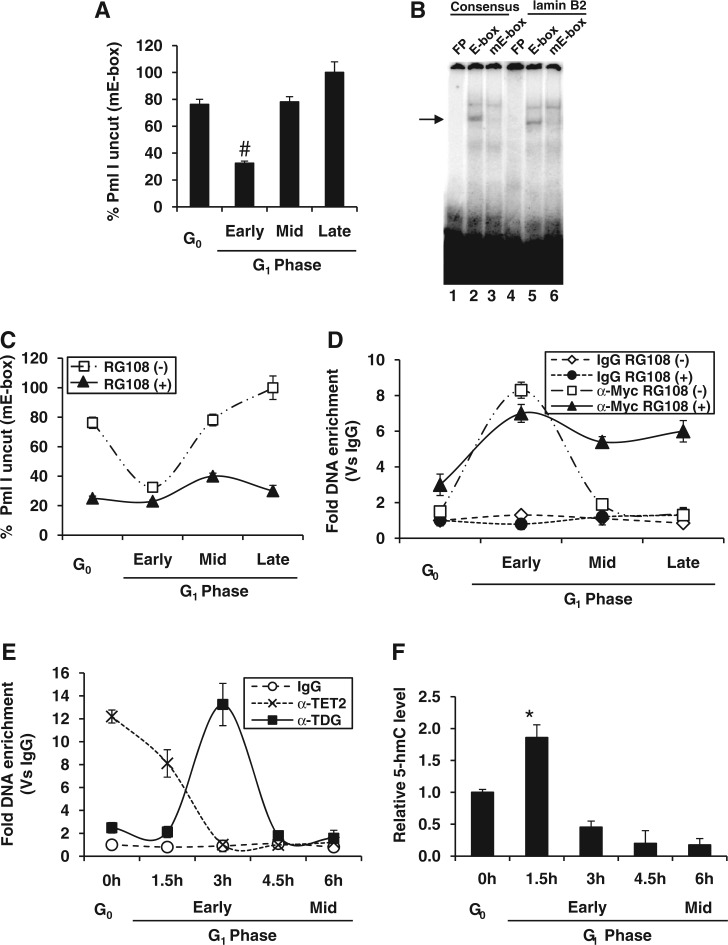 Figure 7.