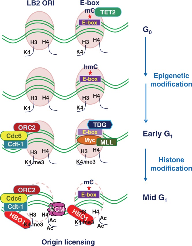 Figure 9.