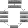<b>Figure 3.</b>