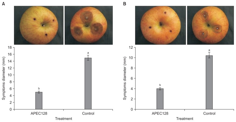 Fig. 8