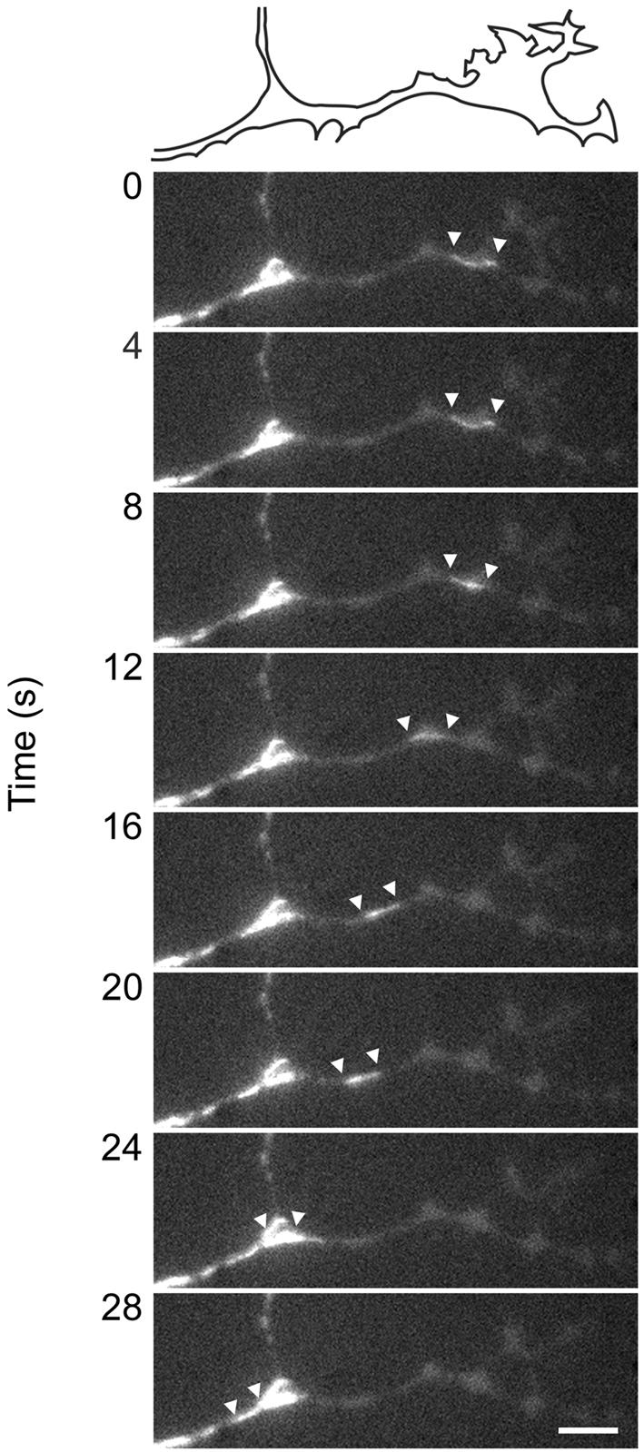 Figure 4.