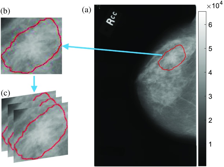 Fig. 2