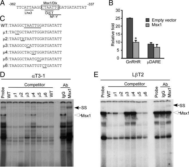 Figure 2.