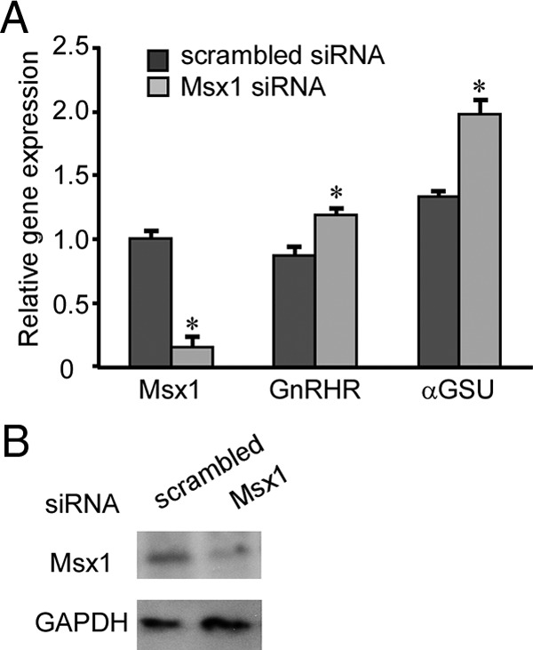 Figure 6.