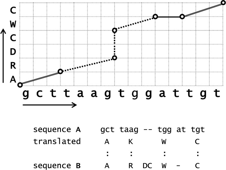 Frameshift alignment: statistics and post-genomic applications - PMC