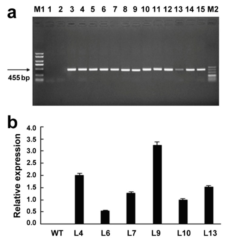 Figure 4