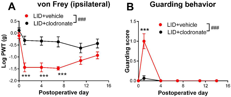 Fig. 8: