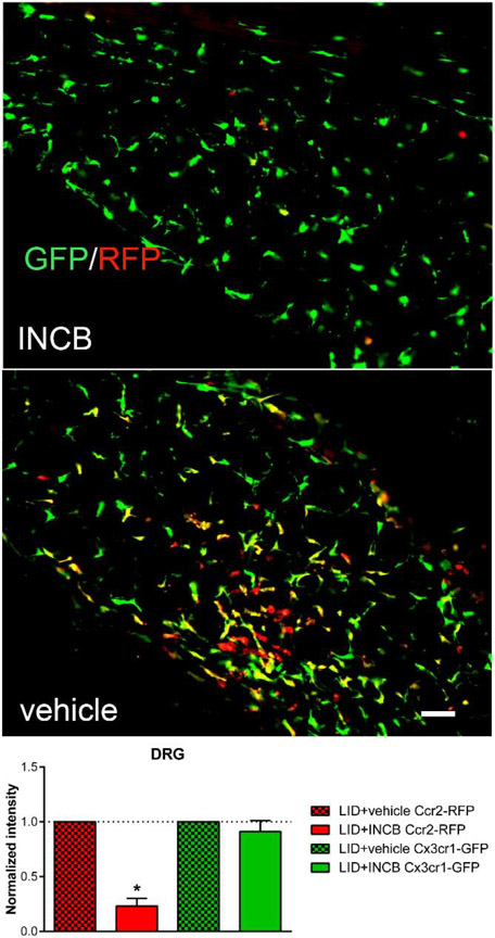 Fig. 7: