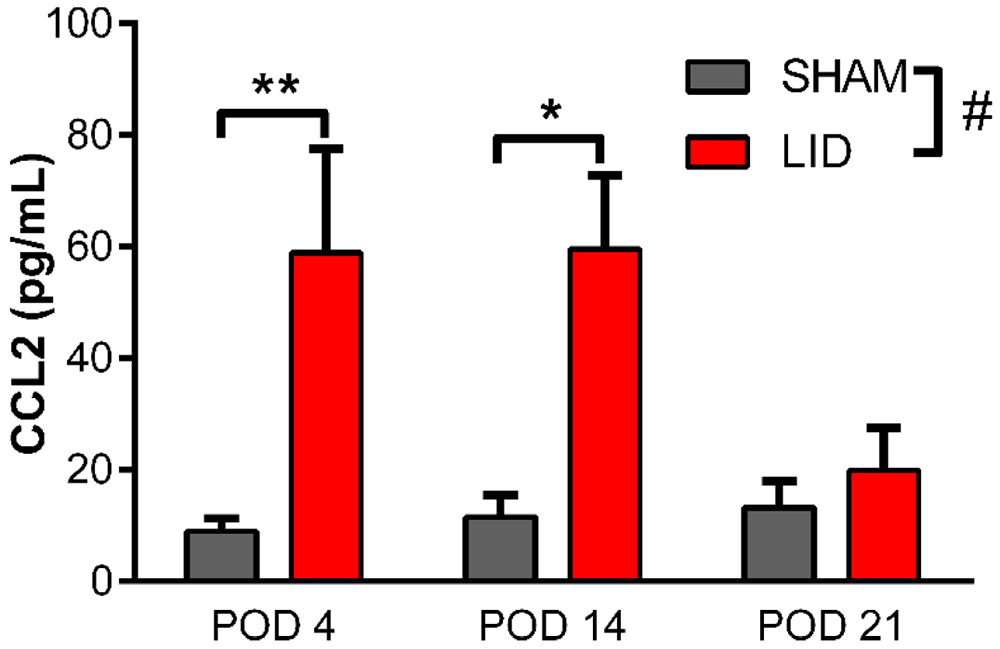 Fig. 4: