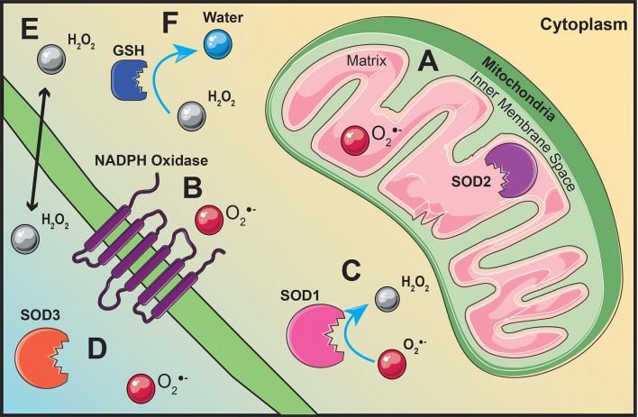 Figure 3