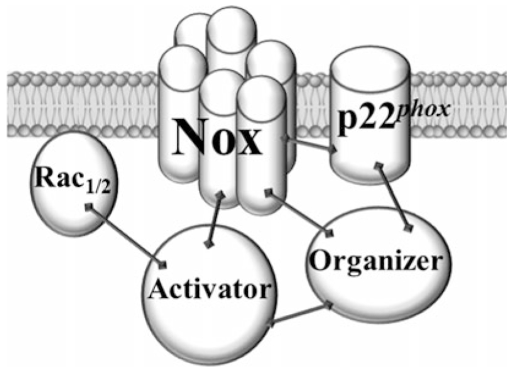 Fig. 3