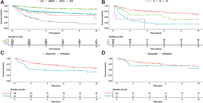 Figure 2. Kaplan–Meier curves of OS in (A) main tumor groups (n = 582)—MBOT, MOC, LGI, and UGI—B, patients with MOC by FIGO stage (n = 184); C, patients with MOC by pattern of invasion in all stages (n = 178); D, patients with stage I MOC (n = 134) by pattern of invasion.