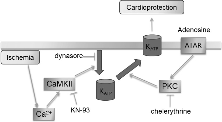 Fig. 8.