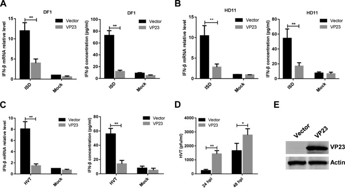 FIG 2