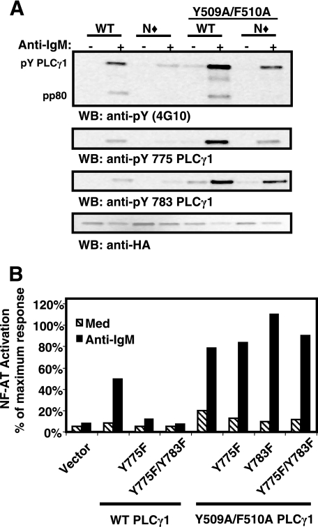 FIG. 7.