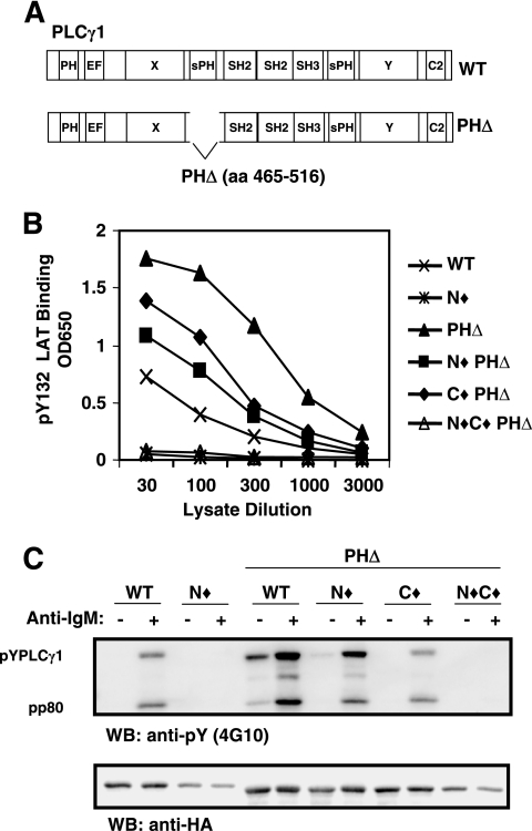 FIG. 4.