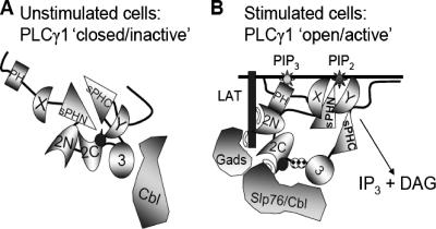 FIG. 8.