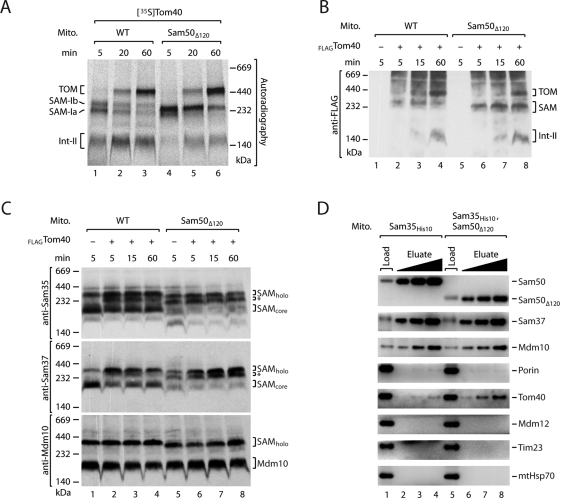 FIGURE 4: