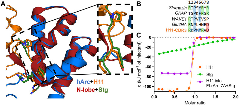 Fig 8