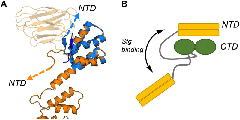 Fig 12