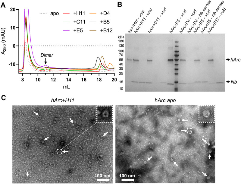 Fig 6