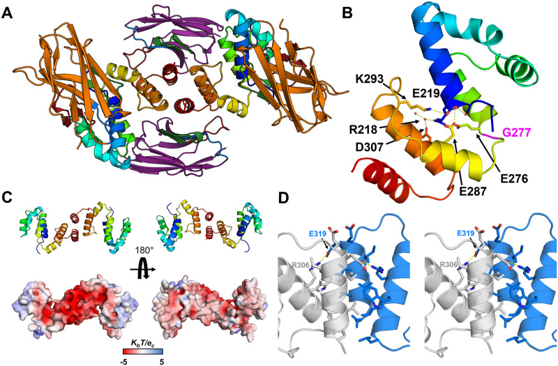 Fig 10