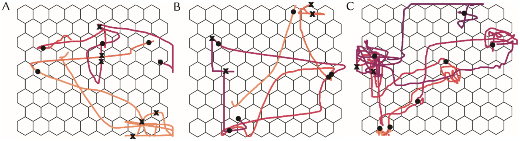 Figure 1: