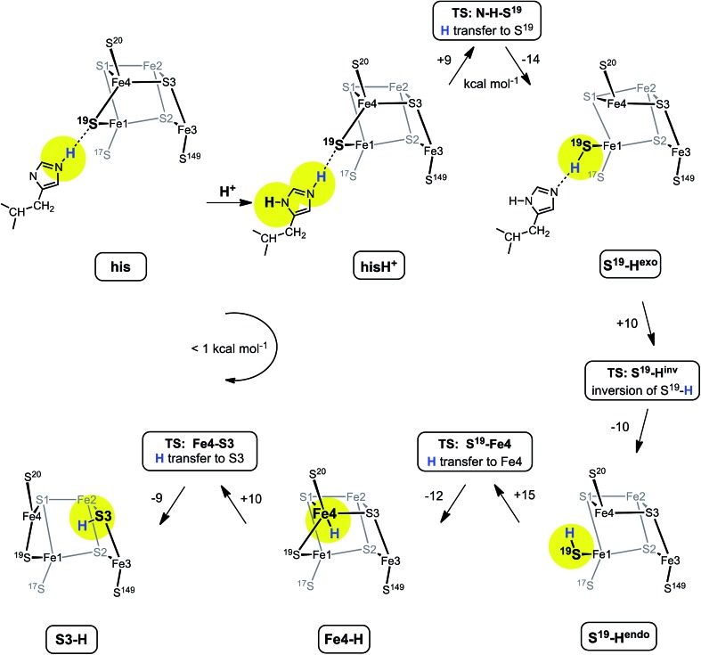 Fig. 6