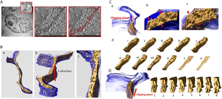 Fig. 6.