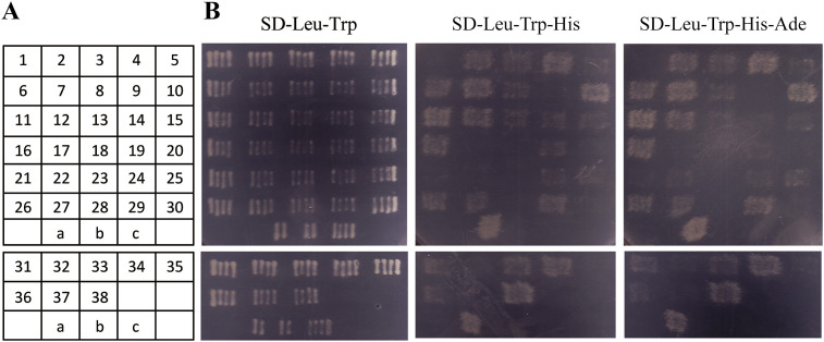 Fig. 3