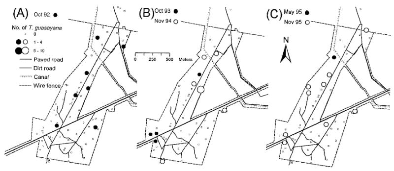 Fig. 6