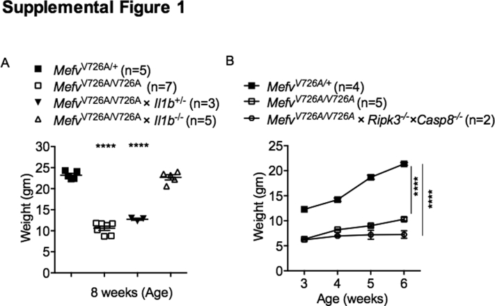 Supplemental Figure S1